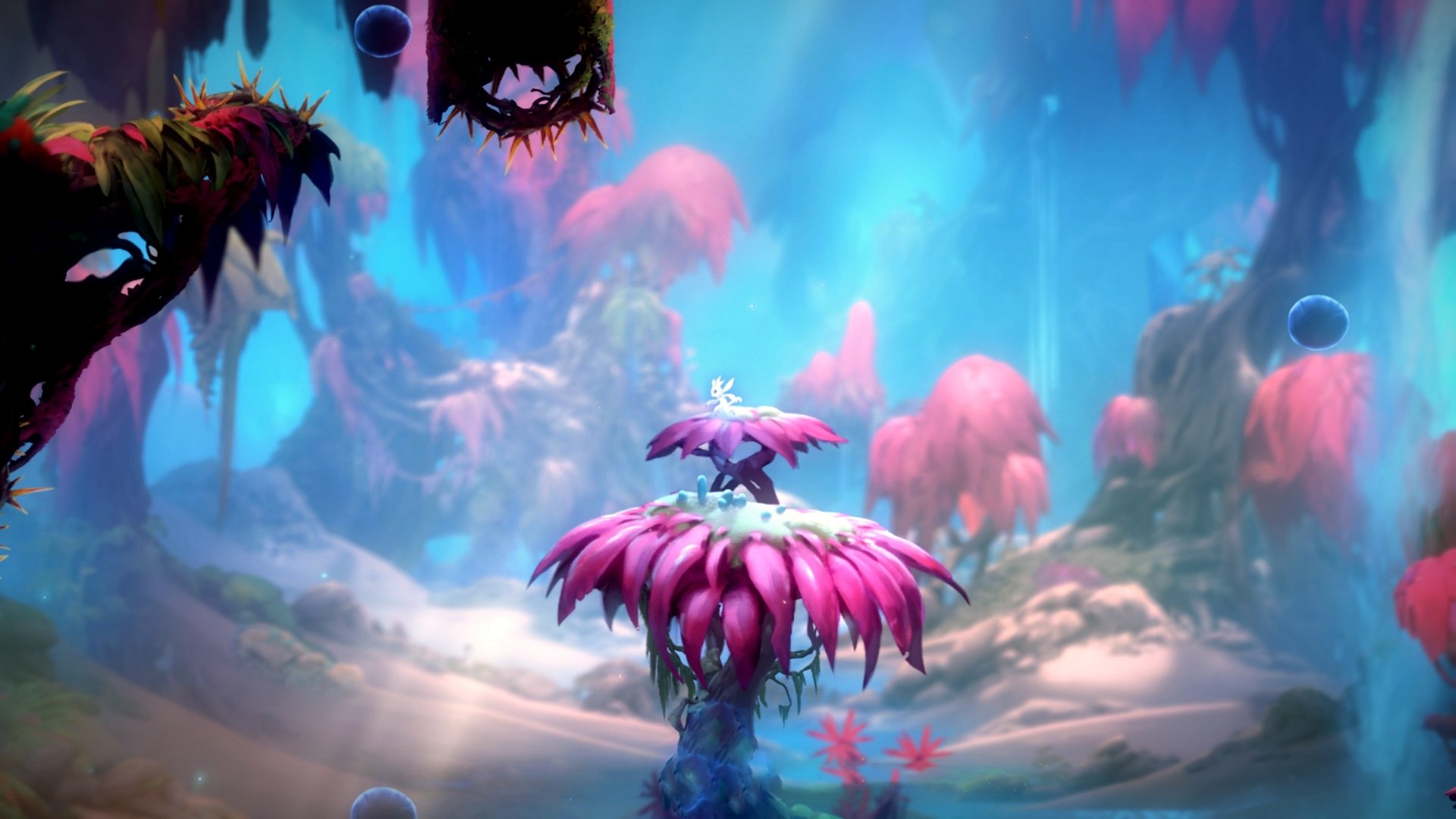 魔都的篮球狂想曲，当上海队掀翻奇才，哈利伯顿于绝境中奏响命运交响