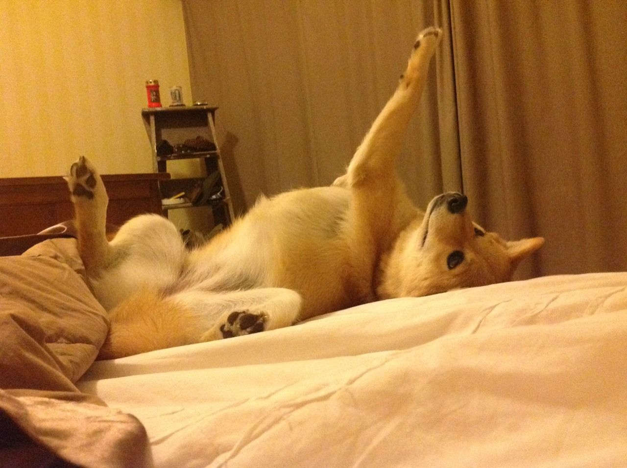 舞台中央与战术罗盘，卢卡库的英雄主义与智利式压制的现代足球启示