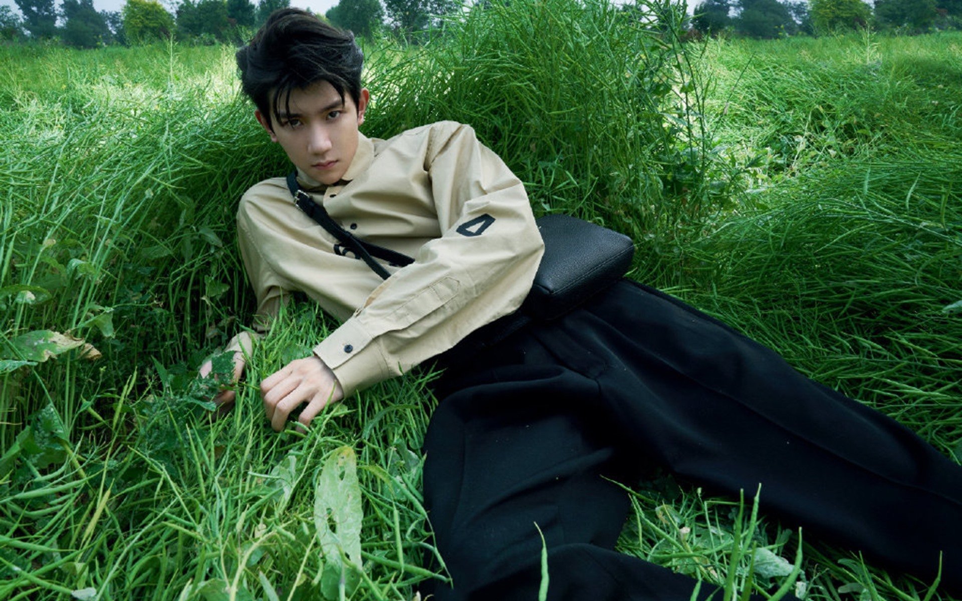 风暴眼中的定海神针,贝恩在森林狼撕裂灰熊防守的夜晚成为唯一清醒者