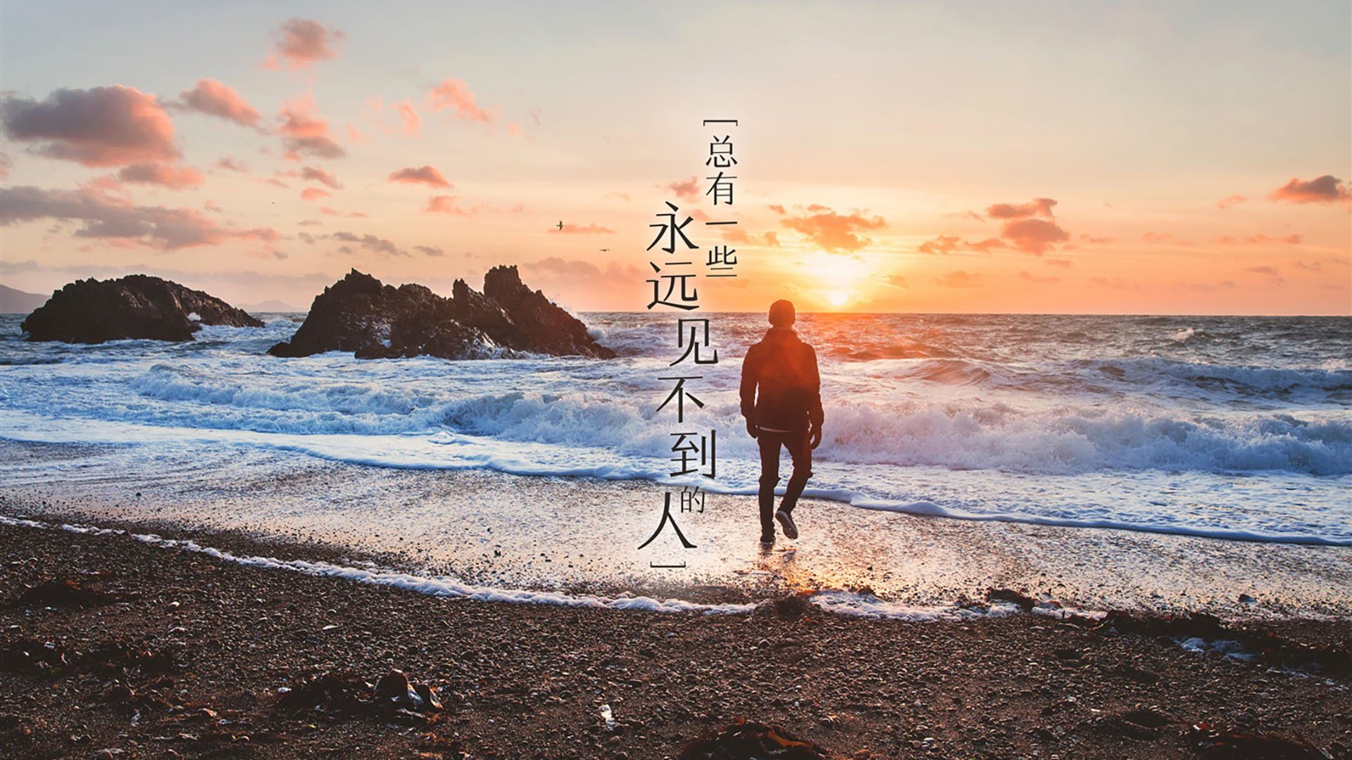 一人敌一城！锡安肉弹冲击碾碎奇才，末节19分上演孤胆英雄