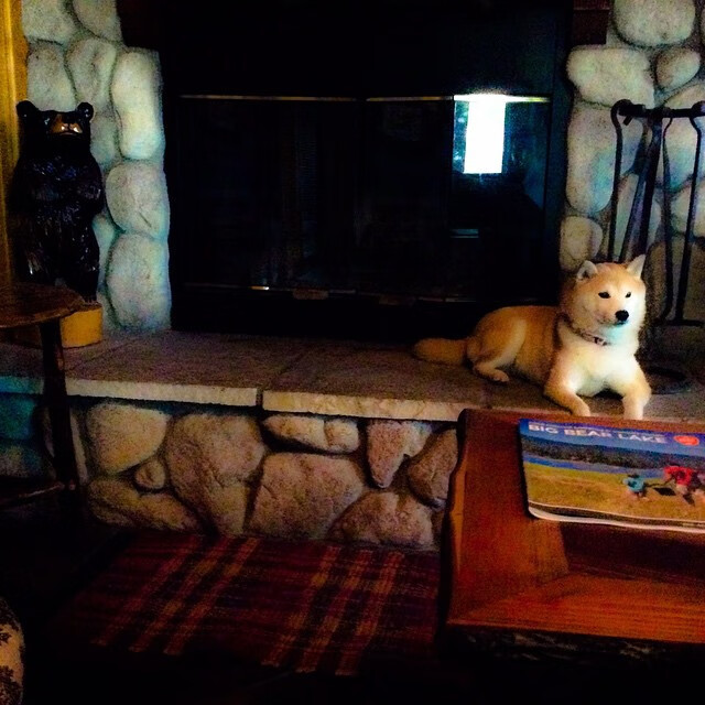 利剑出鞘与闪电战，富安健洋的觉醒与里昂速度的现代足球启示录