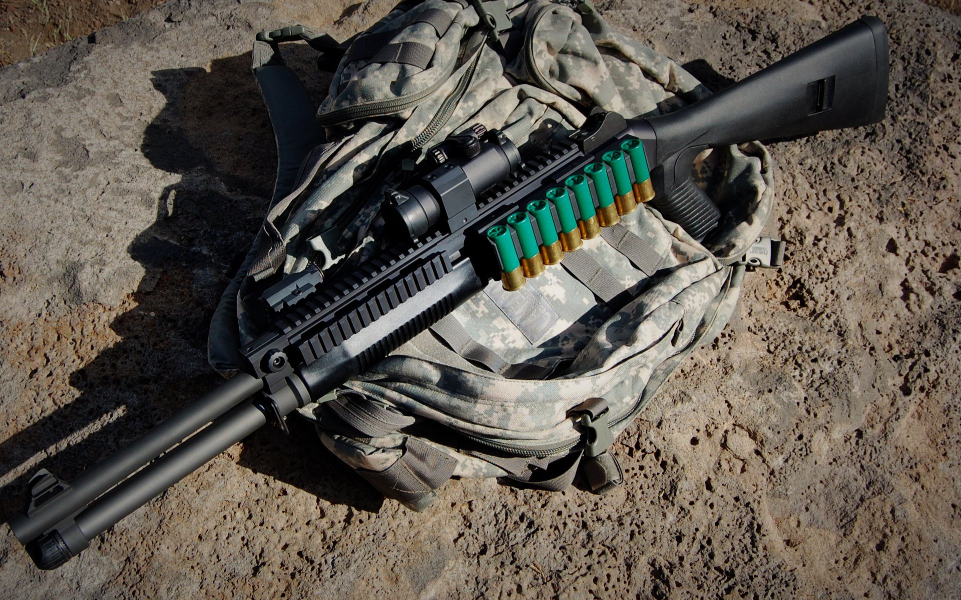 古老图腾冲破钢铁丛林，凯尔特人关键战突围深圳，布克于排名争夺战中加冕新王