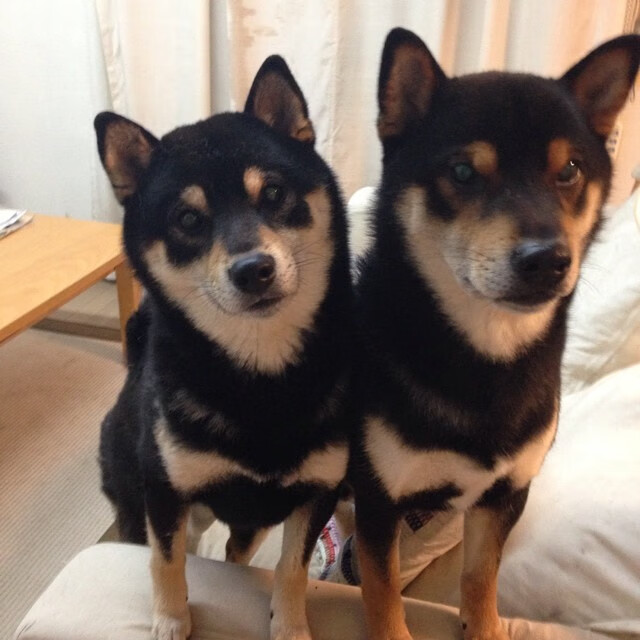 末节15分接管比赛！詹姆斯关键先生本色，湖人展露冠军相