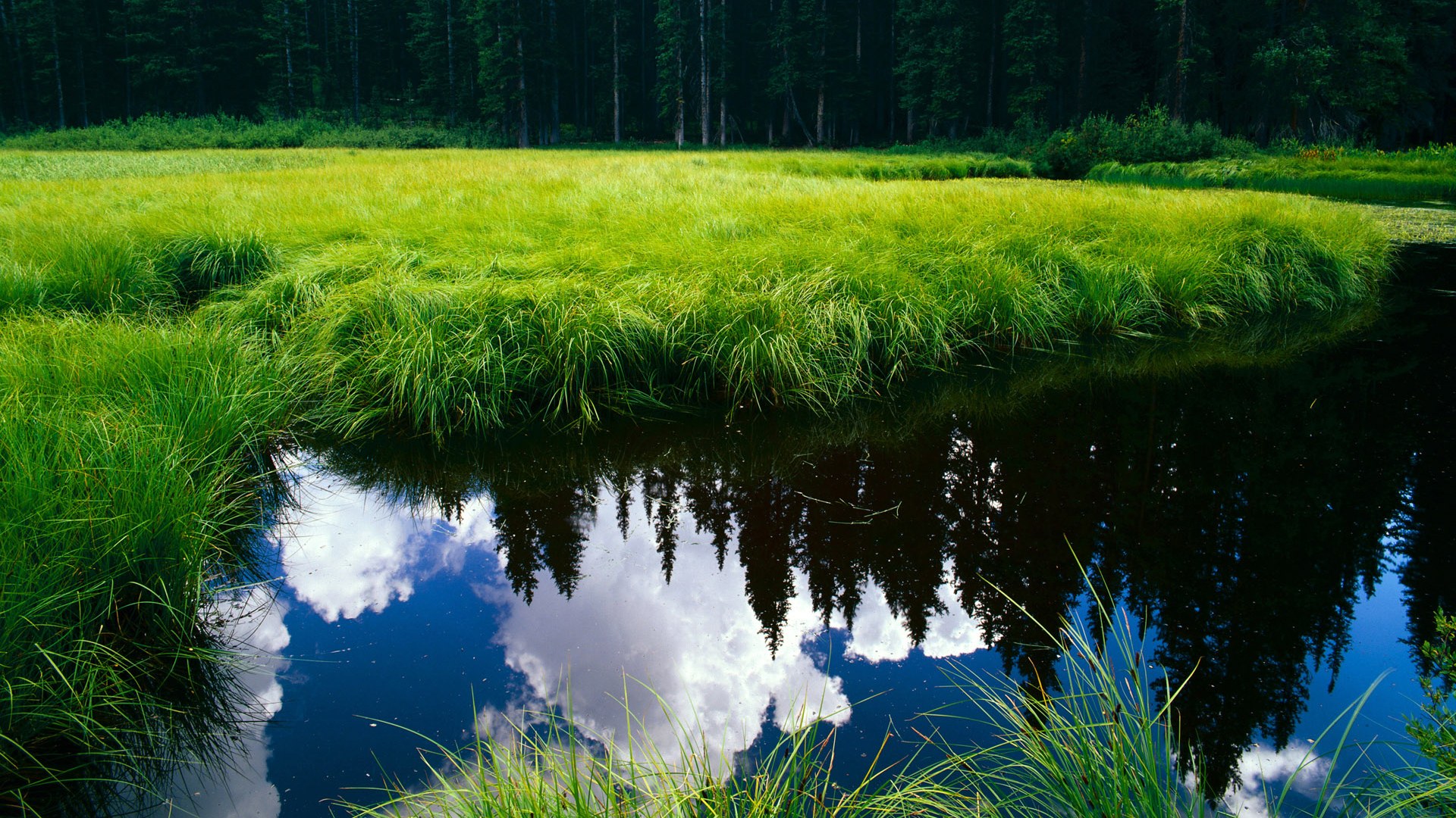 加纳军团难破国米铜墙,迪马利亚一箭定江山