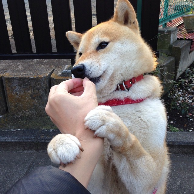最后三分钟的宿命对决,葡萄牙绝境逆转丹麦,欧冠史上最戏剧性焦点战诞生