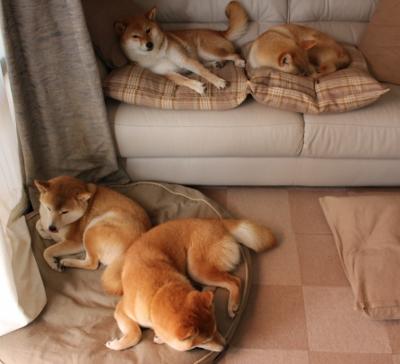 征服者的脚步，当乌拉圭的血拼，遇上C罗的压制级统治