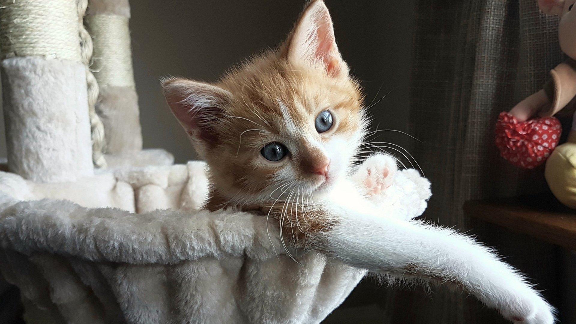 融金断骨，热火战术沼泽窒息掘金，哈利伯顿催动攻防转换风暴