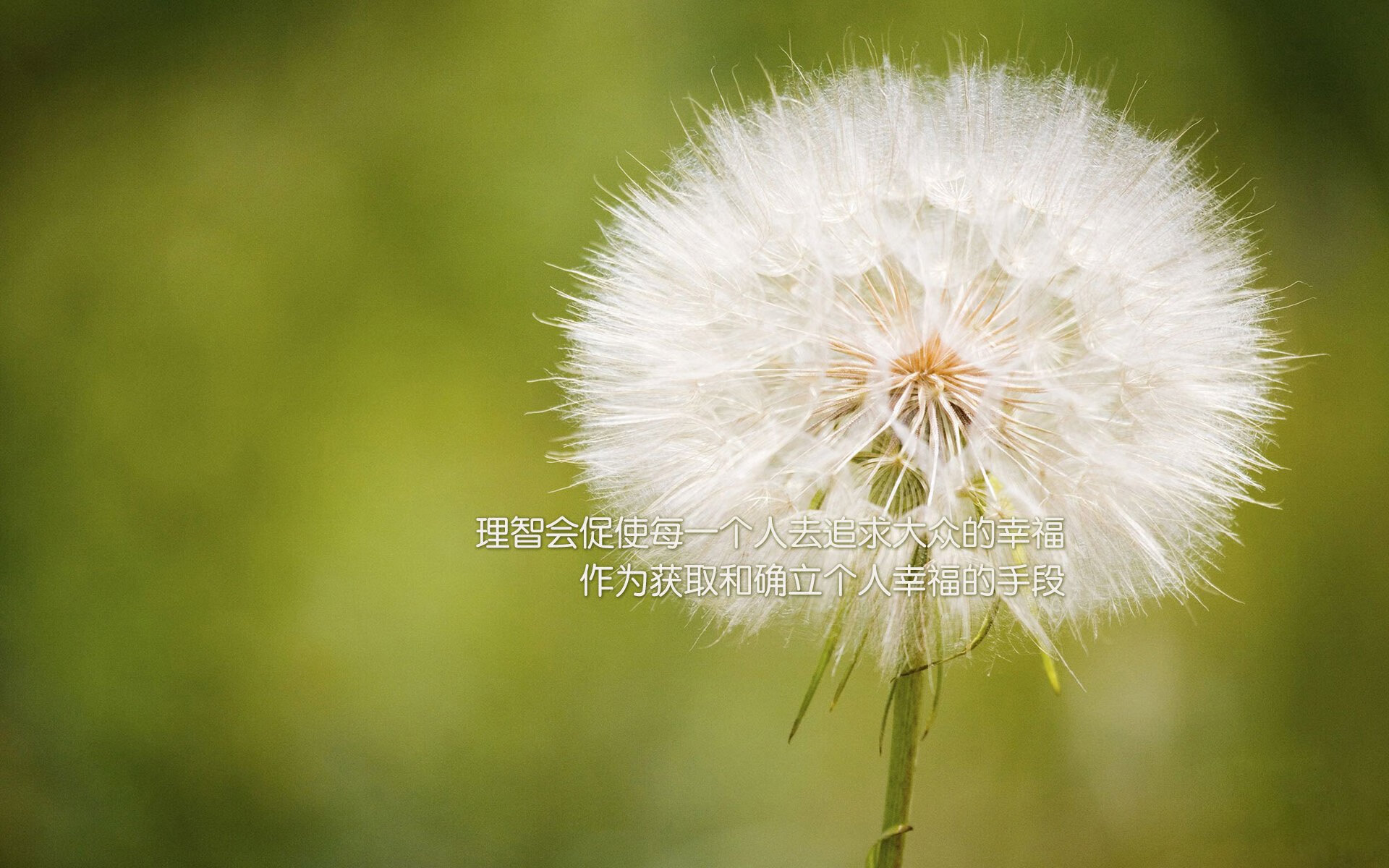 中场大师佩德里点亮生死战，澳大利亚绝杀日本，2026世界杯D组上演巅峰对决