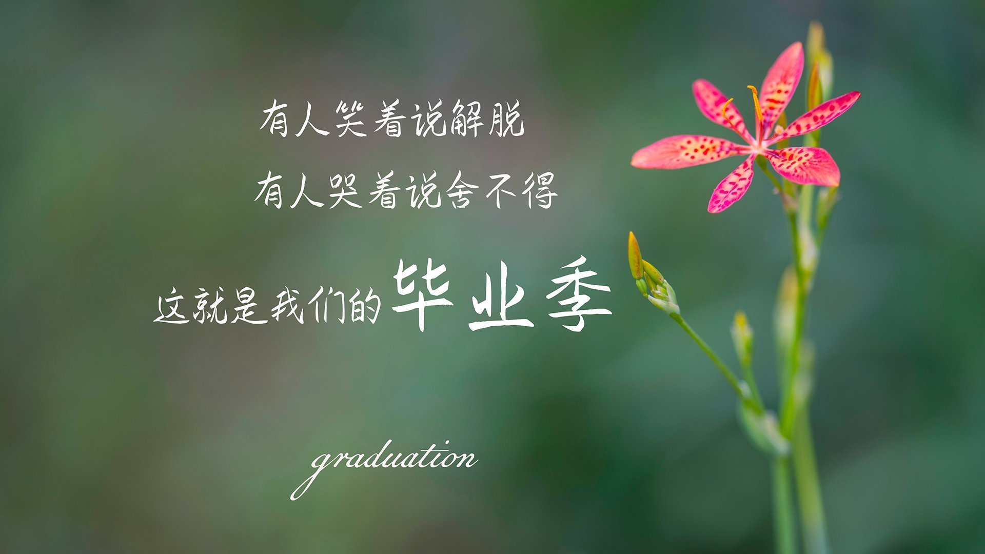 非常有张力。几个看似矛盾的关键词—阿根廷与智利的宿敌之战、世界杯的宏大背景、以及一个德国球星京多安的意外闯入—恰恰为唯一性提供了最独特的叙事空间