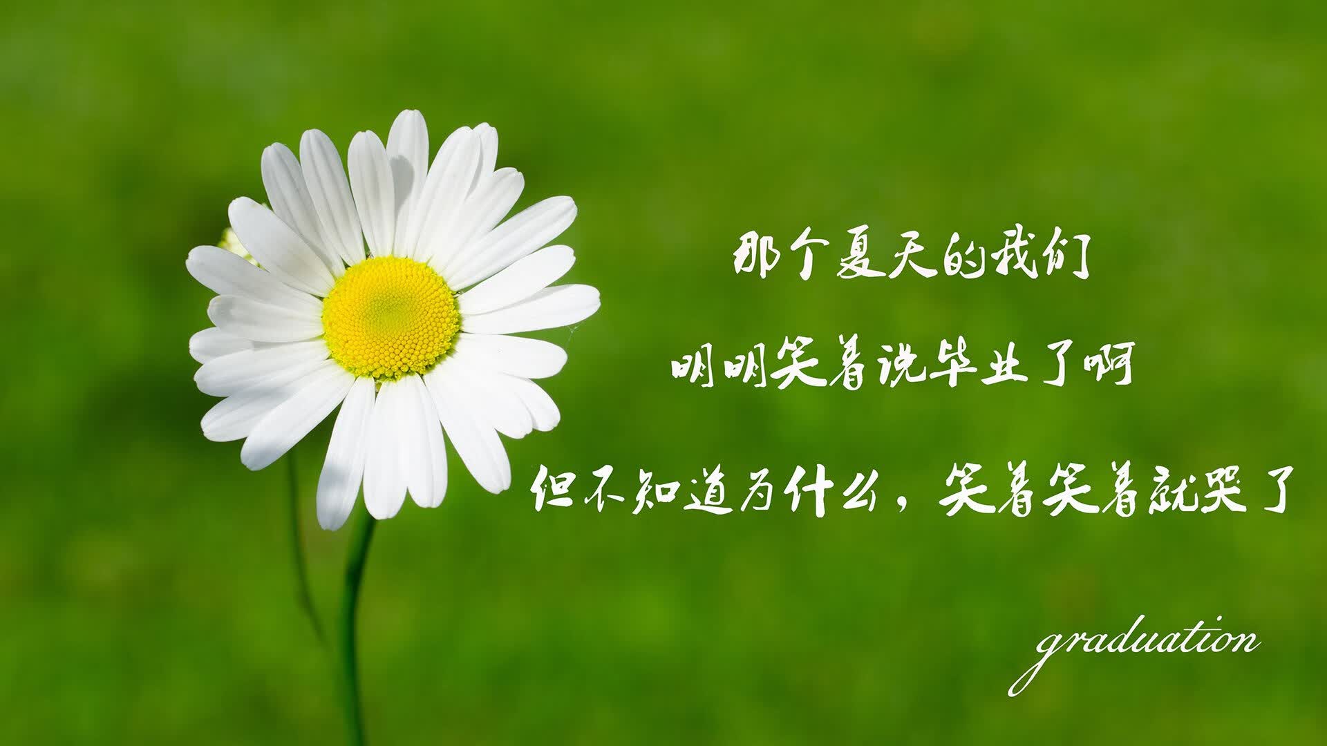 2026，不曾被写下的剧本，莫德里奇穿保加利亚战袍，在历史重演中完成致命一击
