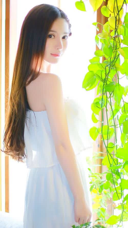 （供您选择）