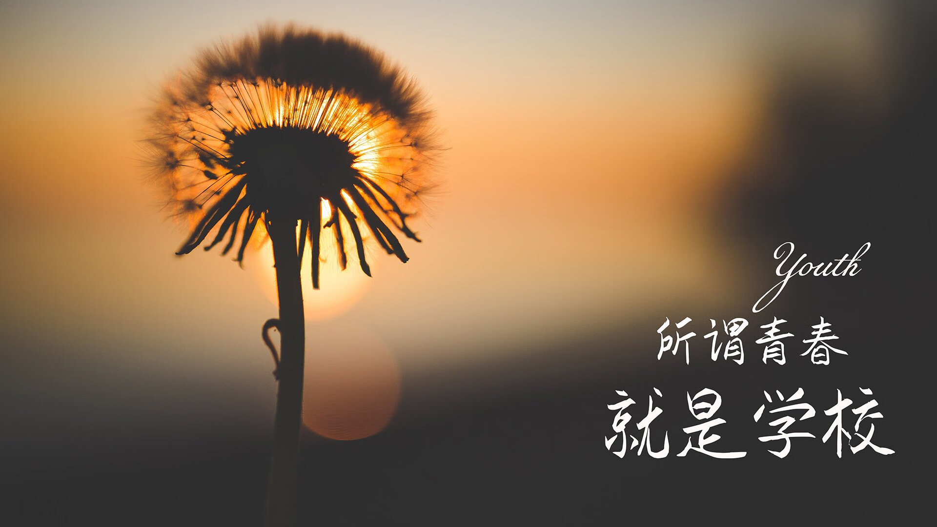 2026世界杯F组焦点战，西班牙2-1力克伊拉克，库尔图瓦天神下凡改写历史