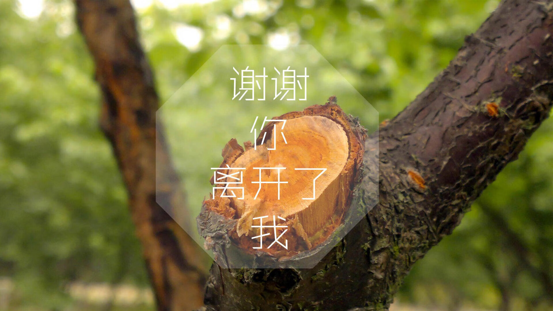 当东风压倒西风，2026年那场被遗忘的世界杯决赛，与萨内一个人的圣战