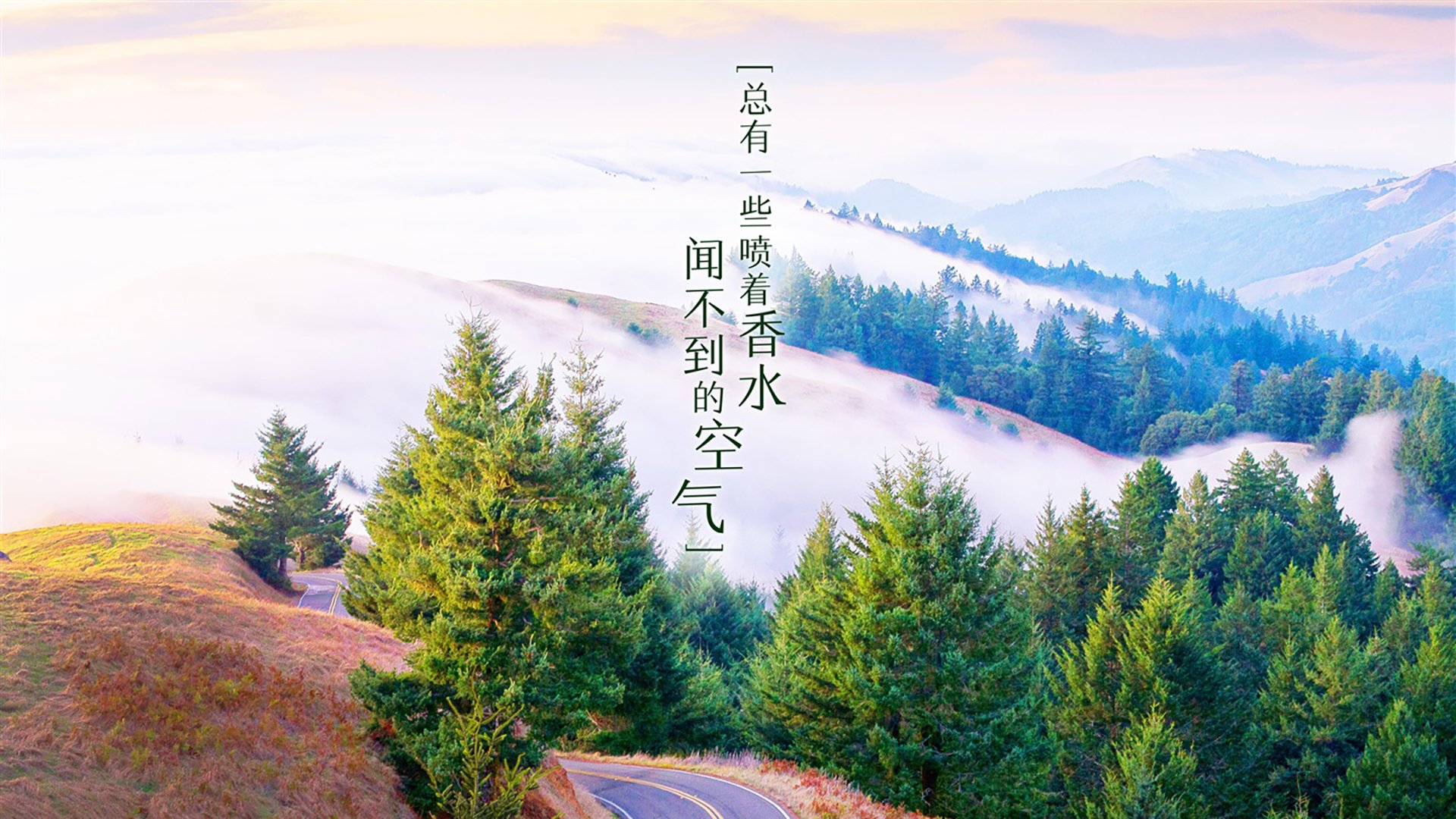 控球风暴下的致命樱花，2026世界杯焦点战，加纳4-0泰国，三笘薰一剑封喉